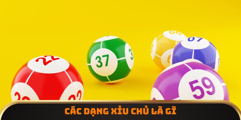 Các dạng xỉu chủ là gì